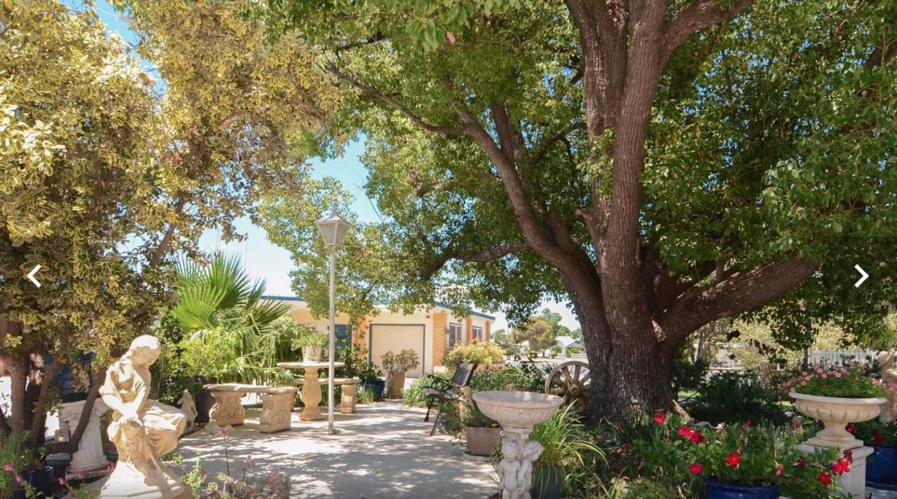 Sturt Motel Balranald Εξωτερικό φωτογραφία