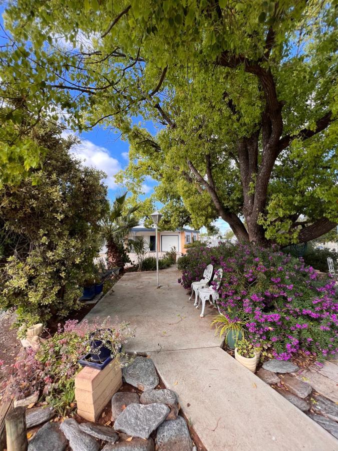 Sturt Motel Balranald Εξωτερικό φωτογραφία