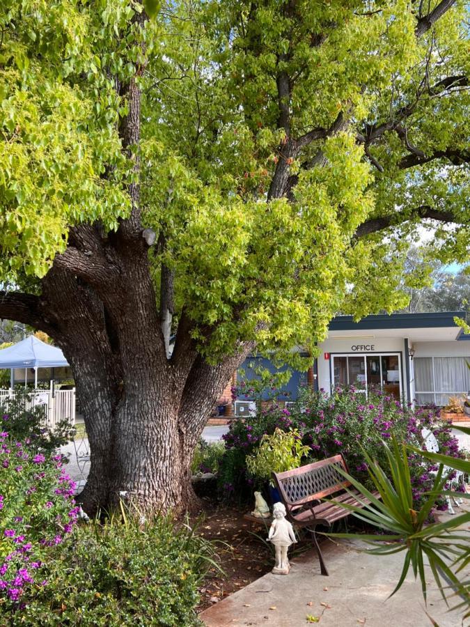 Sturt Motel Balranald Εξωτερικό φωτογραφία
